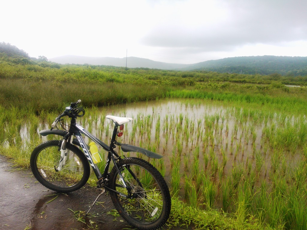 With ricefields and heavy clouds over, riding is fun!